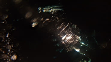 Church of Old Uppsala