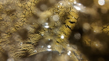 Church of Old Uppsala